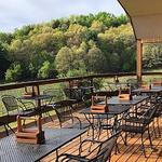 Falconer Vineyards