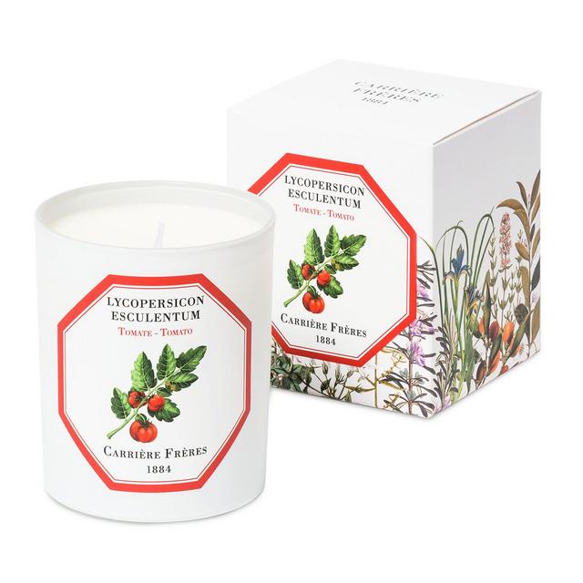Carriere Freres Tomato Lycopersicon Esculentum Candle, 6.5 oz.