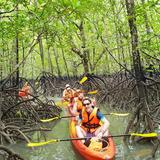 Mangrove Tour Langkawi