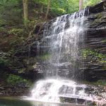 Ricketts Glen State Park