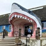 Sharky’s