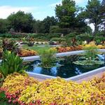 Sunken Gardens