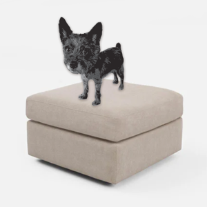 Home Furnishings Fund