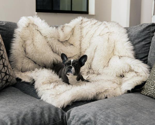 PupProtector™ Waterproof Throw Blanket - King/White