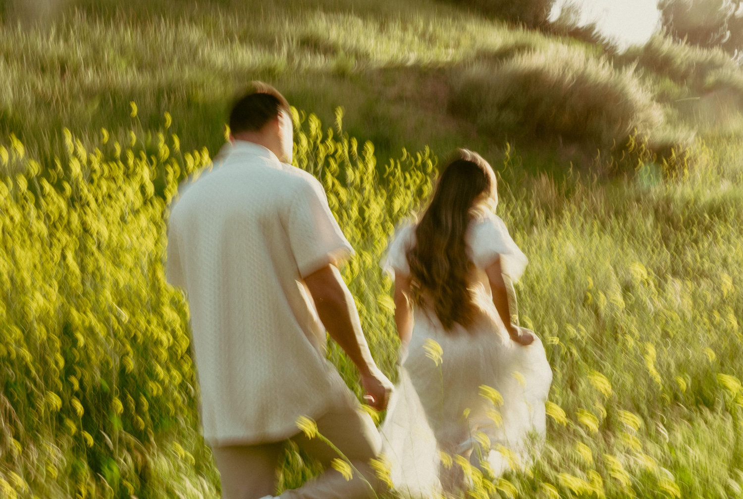 The Wedding Website of Tucker Muir and Kimya Nabavi