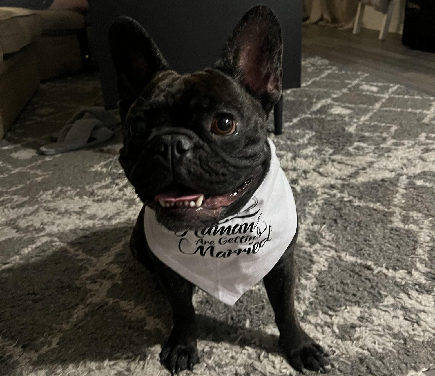 The Wedding Website of Alexa Stratton and Brandon Taleghani