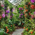 Marie Selby Botanical Gardens Downtown Sarasota