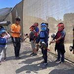 Jungle Island Paintball