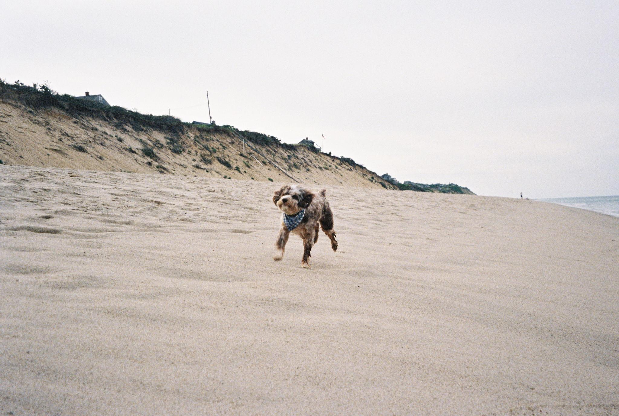 The Wedding Website of Alanna Jamner and Emmett Bragdon-Hess