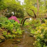Crystal Springs Rhododendron Garden