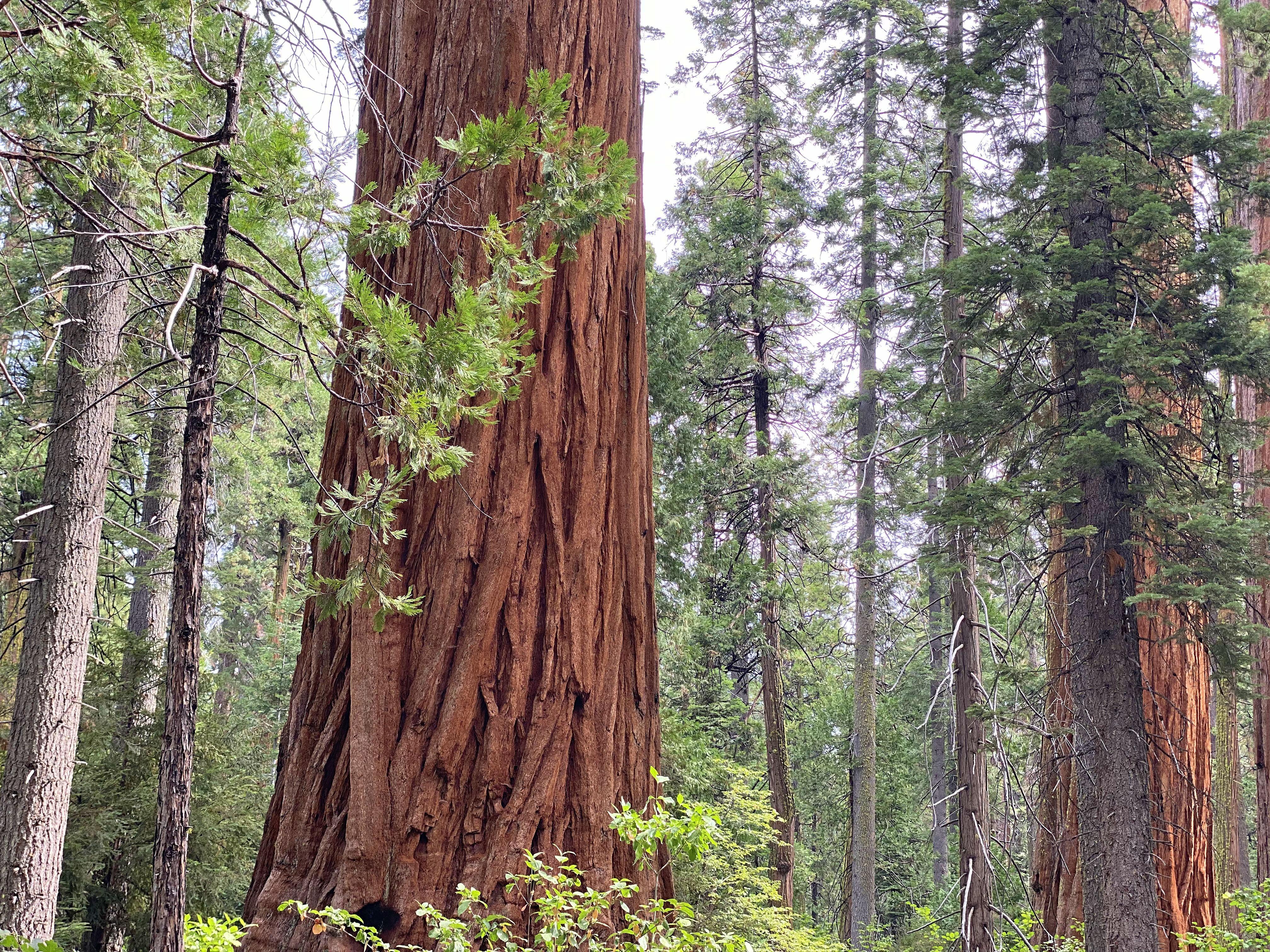 The Wedding Website of Sarah Puls and Kurt Manley