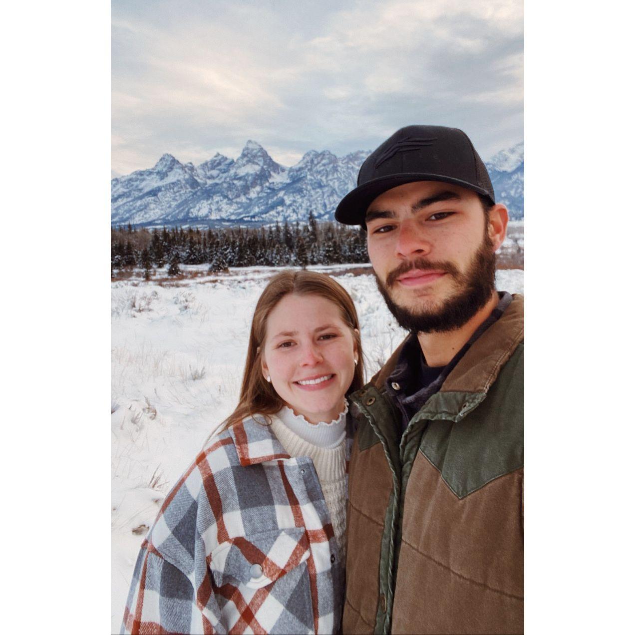 The time we saw TEN moose! Grand Teton National Park, 2022