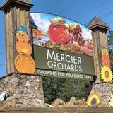 Mercier Orchards