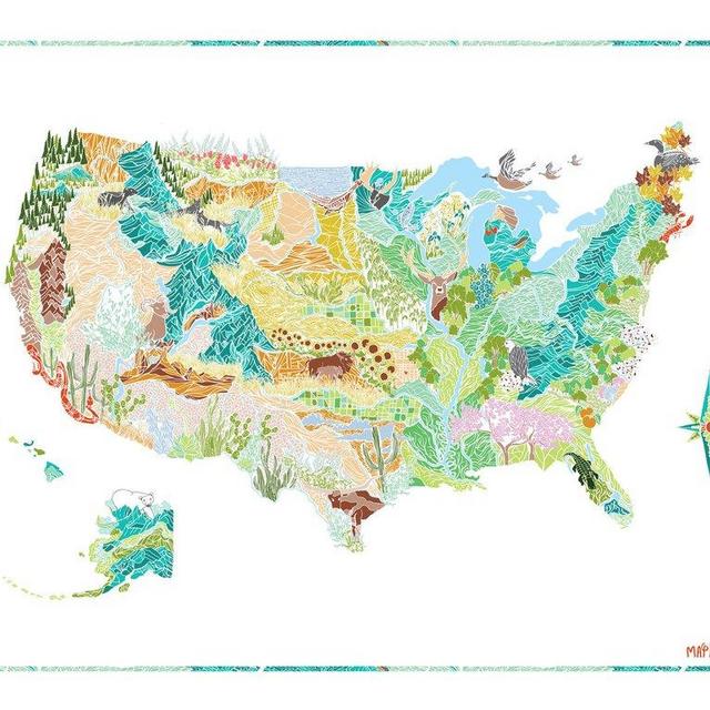 PRINT: FLORA & FAUNA OF THE USA