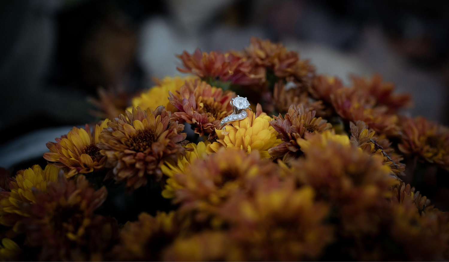 Footer image