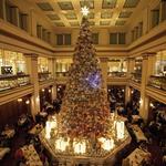 The Walnut Room - Dine Under the Tree