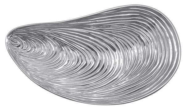 Large Mussel Platter