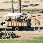 San Diego Zoo Safari Park