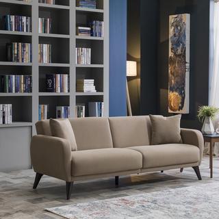 Functional Fold-Down Sofa