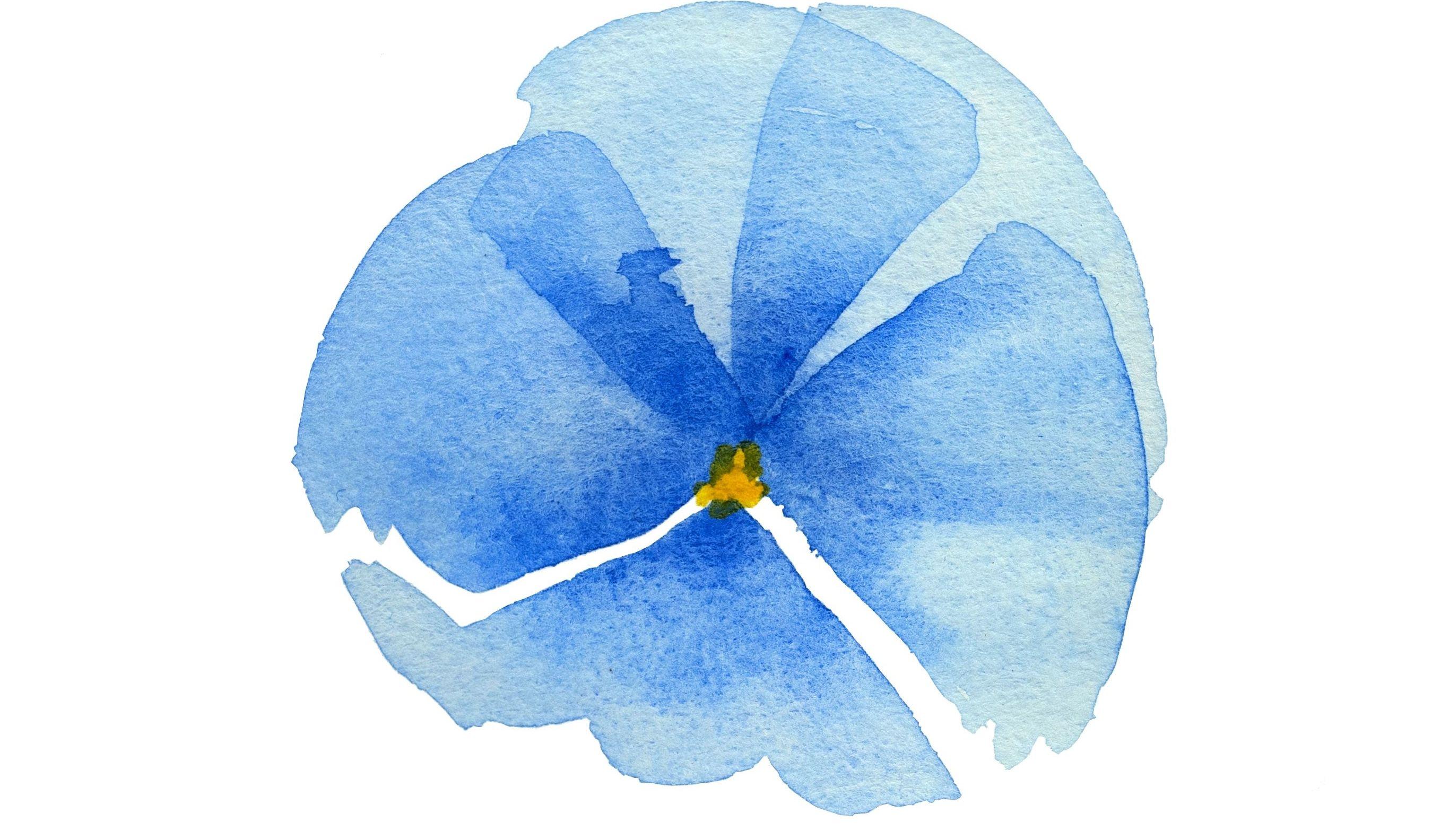 Footer image