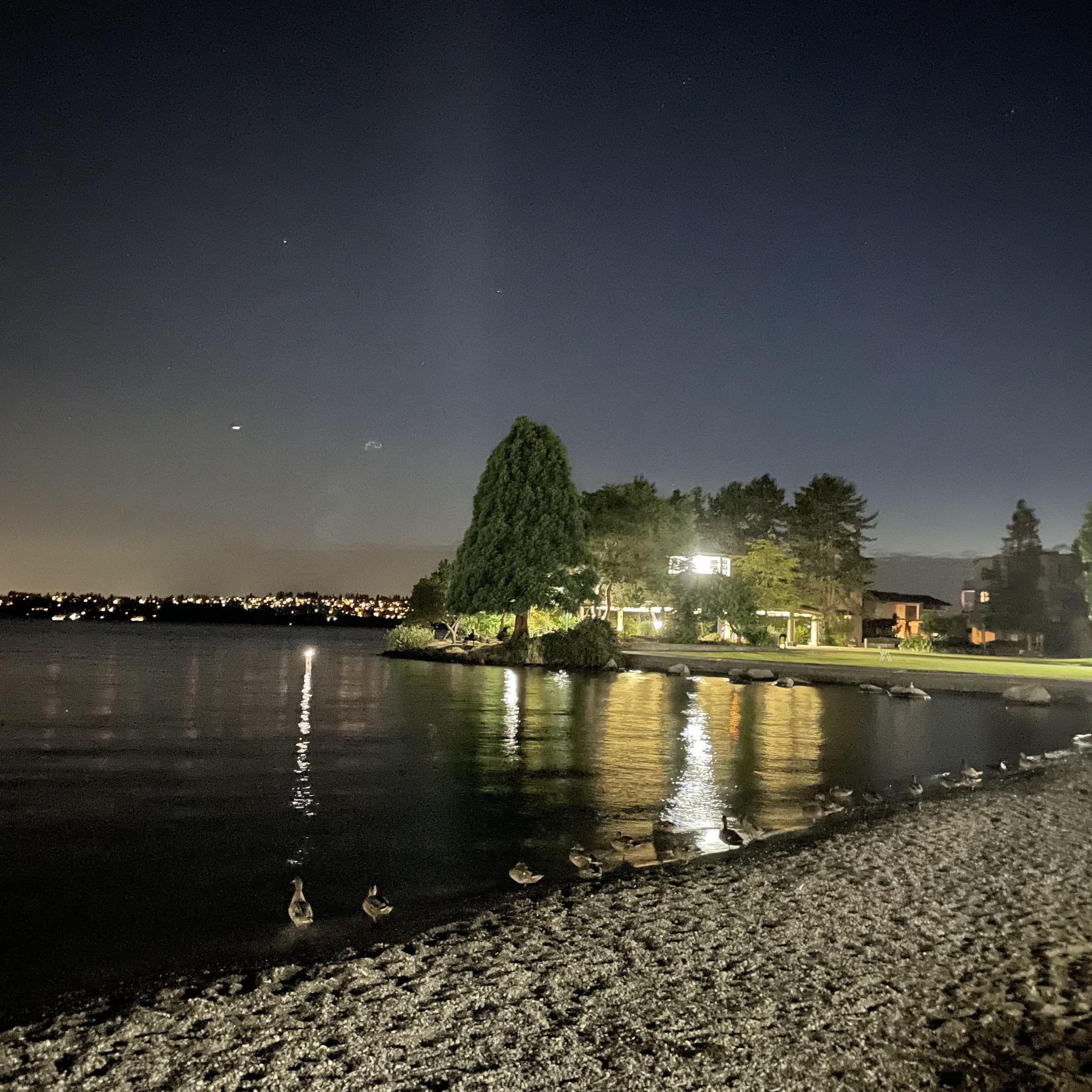 This was a picture from Ashlyn and Riley's first date. They sat on a bench in Kirkland and talked for five hours before looking at the water and all of the ducks swimming by. July 14th, 2022.
