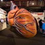 Museum of Science & Technology