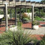 JC Raulston Arboretum