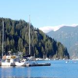 Deep Cove