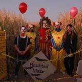 Moapa Valley Haunted Corn Maze