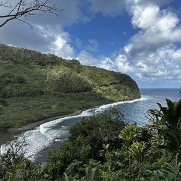 Our Hawaiian Honeymoon
