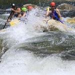 Sequoia Adventures