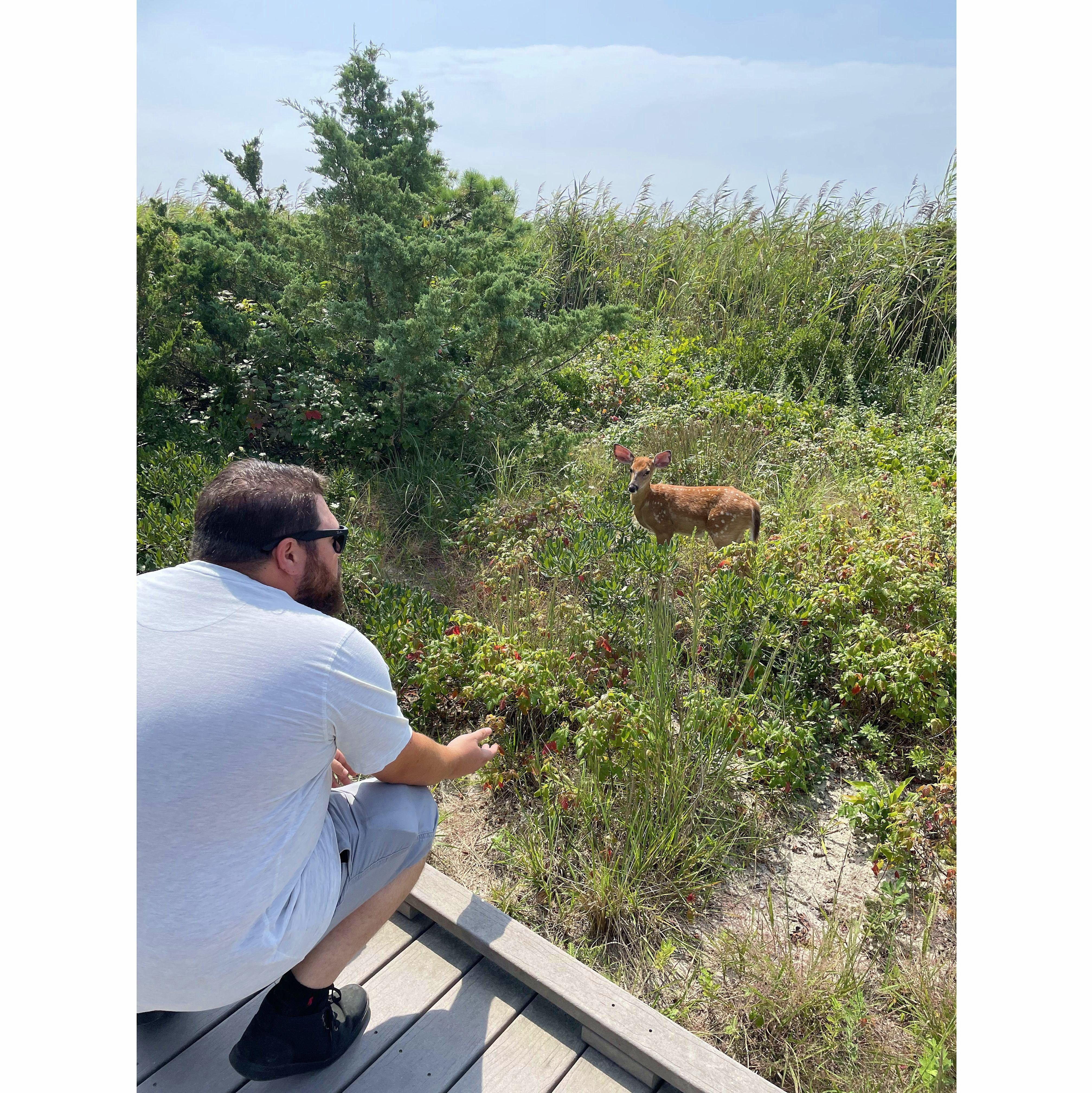 August 29, 2021; 1:36pm: We found a baby deer. Malaina thinks it's the best day ever.