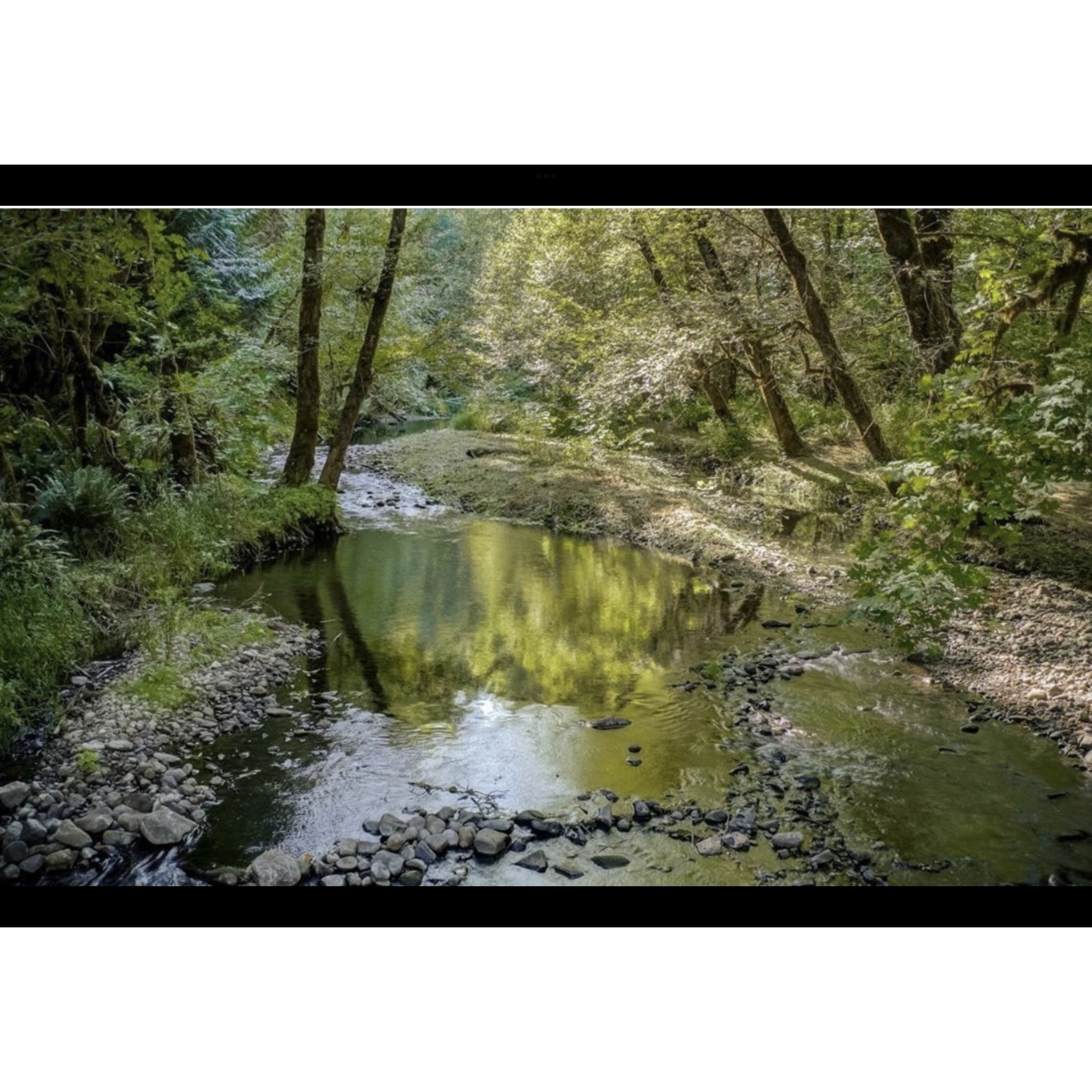 Dairy Creek in August