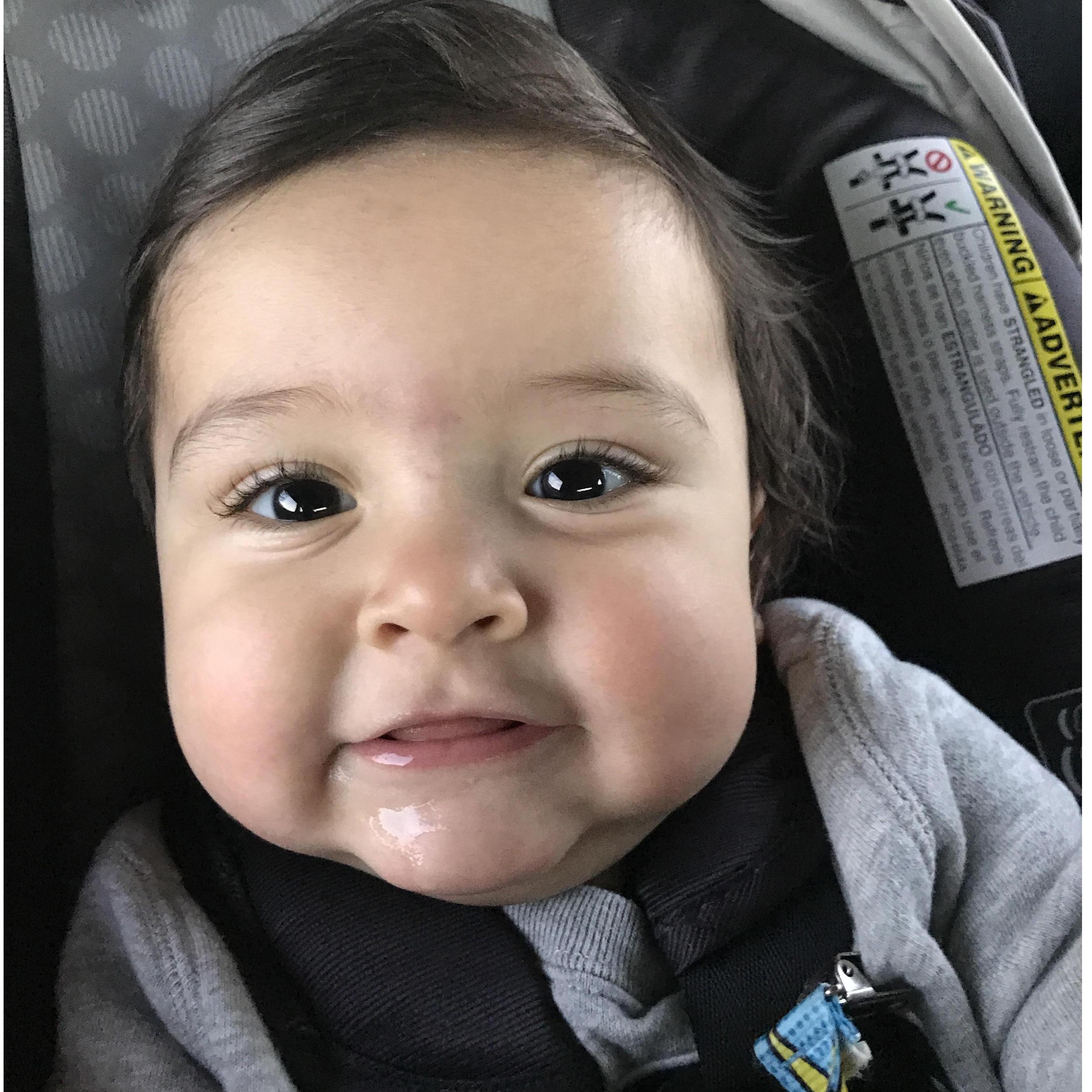 The cutest munchkin you may possibly have ever seen.