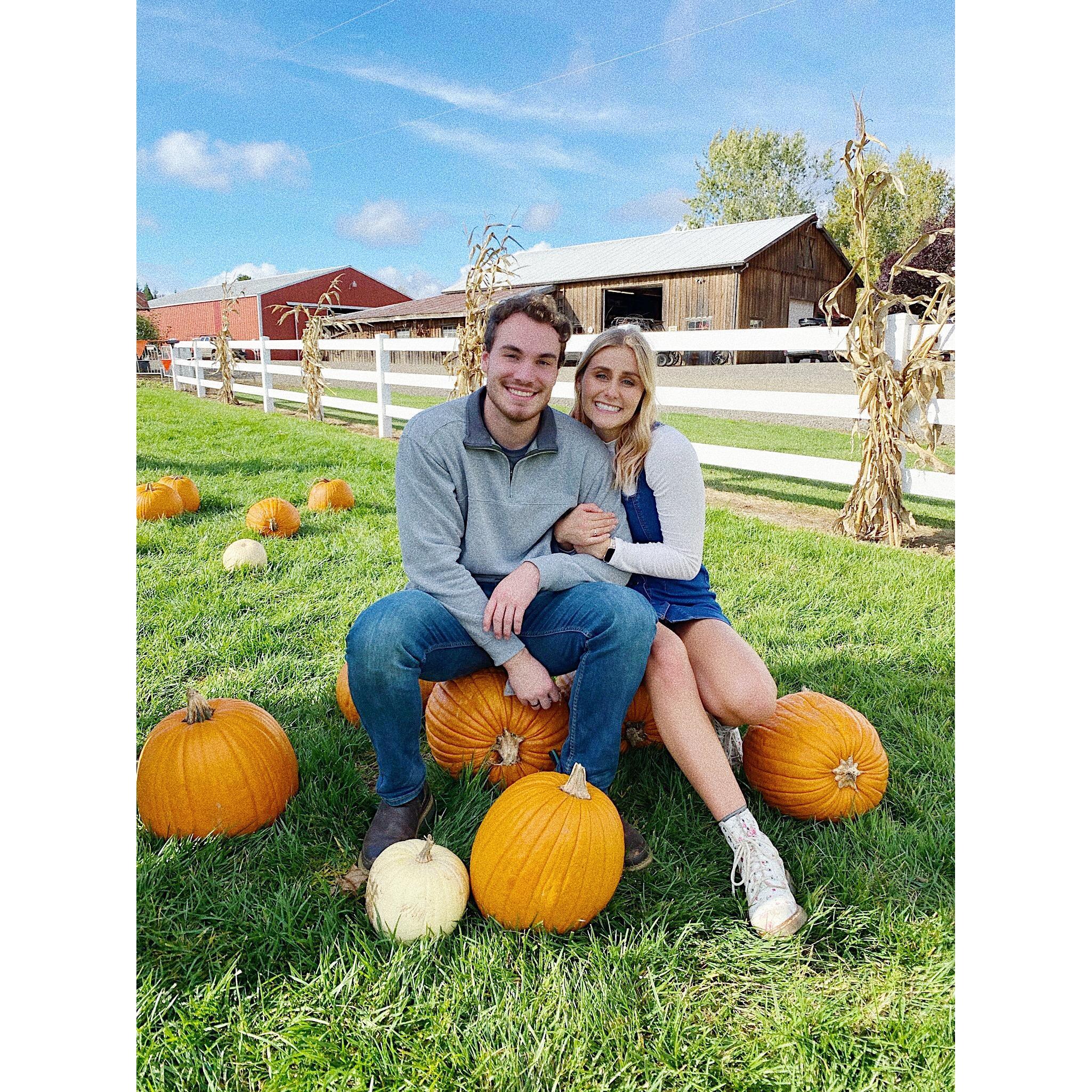 3rd year in a row at the pumpkin patch!