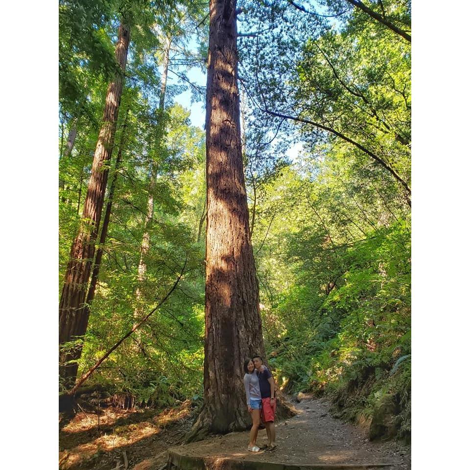 Muir Woods 2019