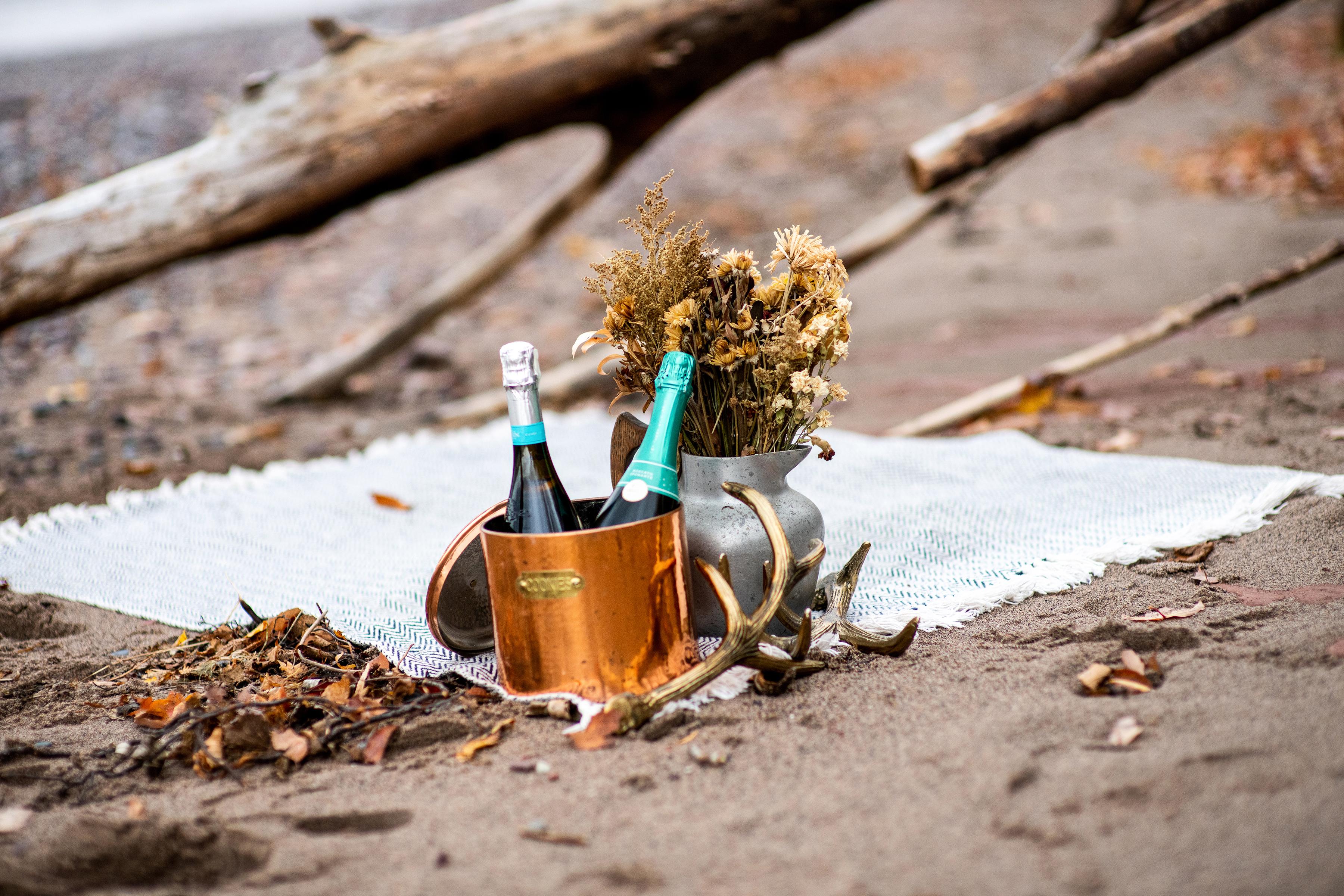 The Wedding Website of Alivia Heller and Cleo Haugen