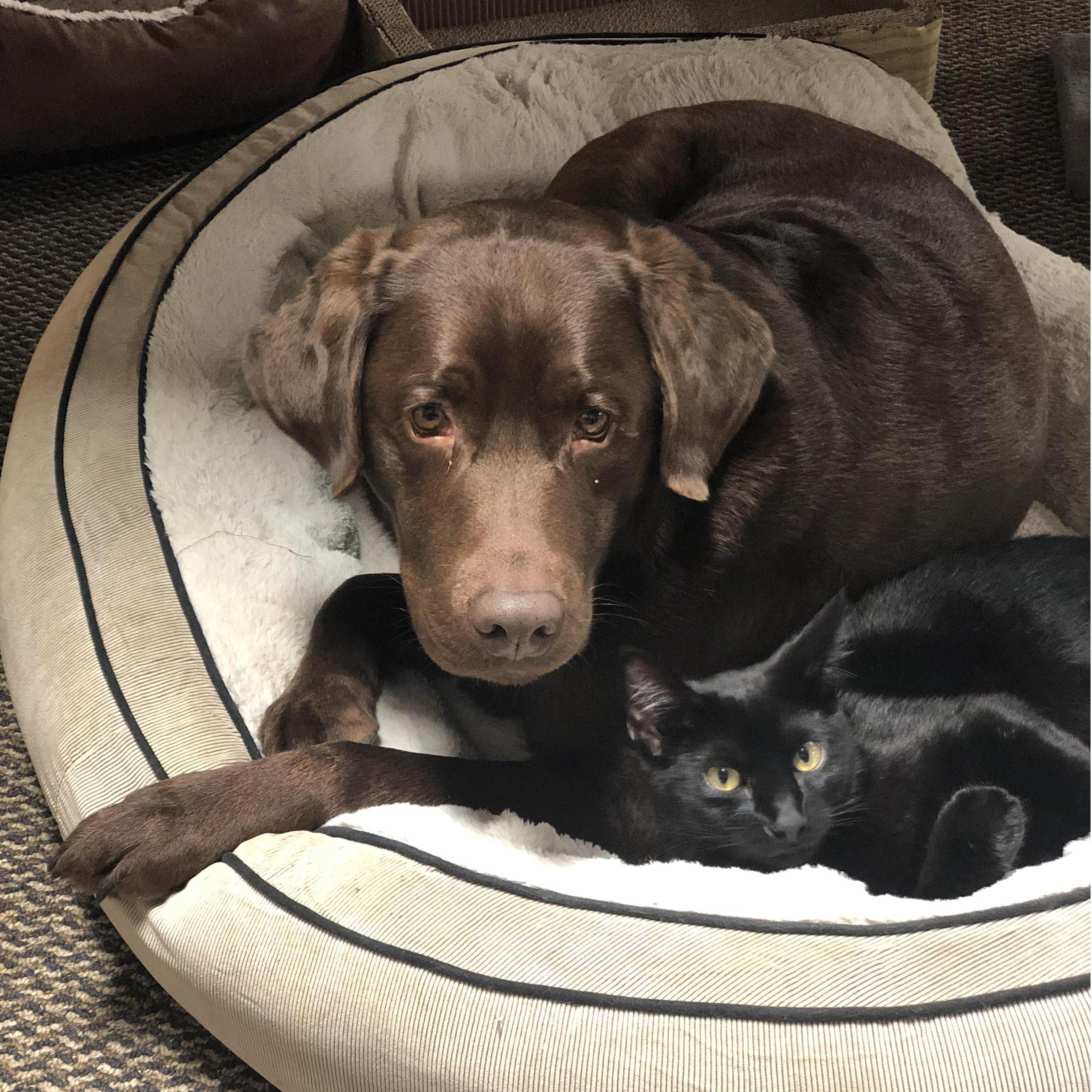 BEST BUDS!!