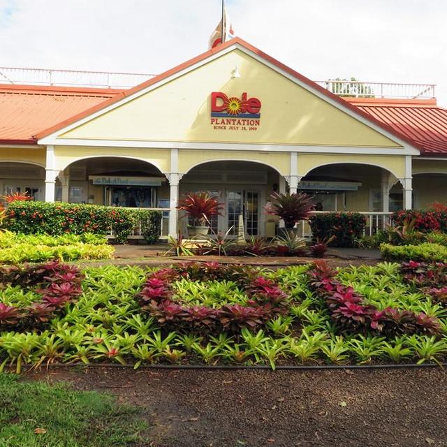 Dole Plantation Bike Tour