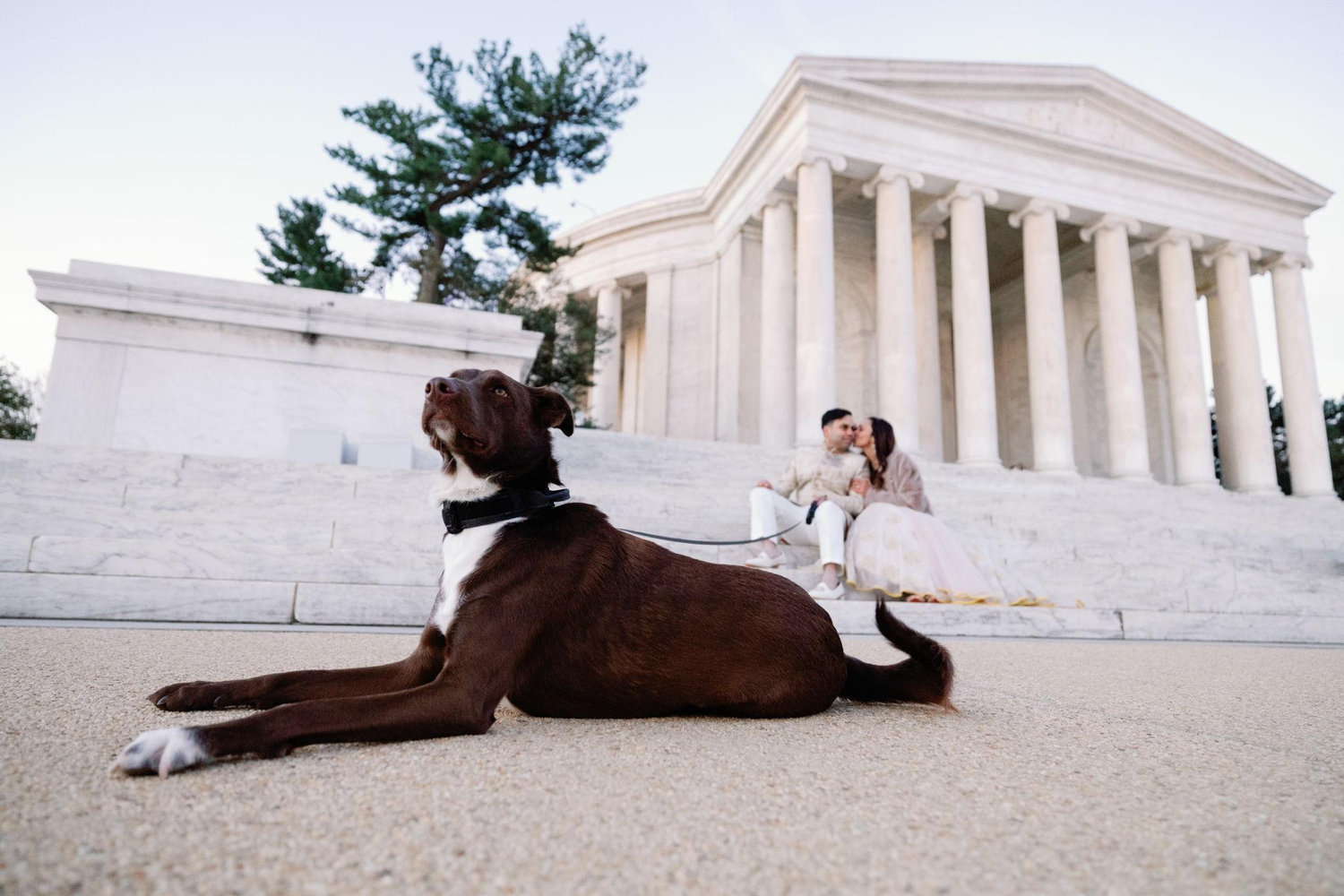 The Wedding Website of Ami Patel and Sagar Shah