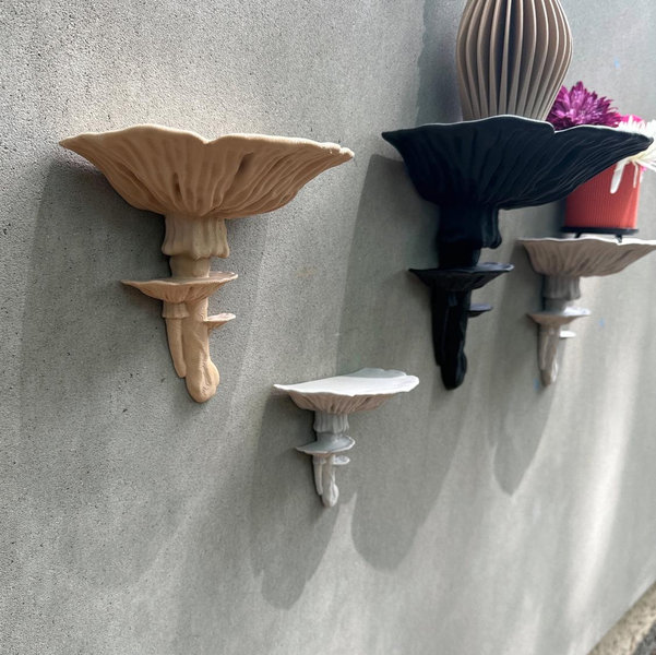 Amanita Fungus Mushroom Shelf | Floating Shelf | Standard Matte Decor | 20 Colors Available