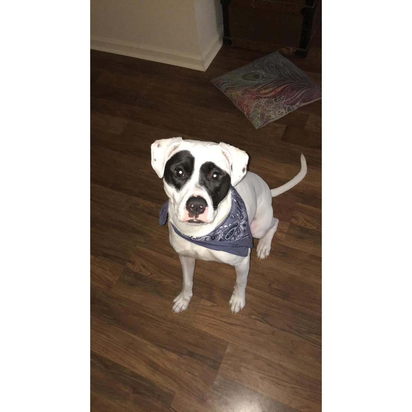 Our sweet girl!