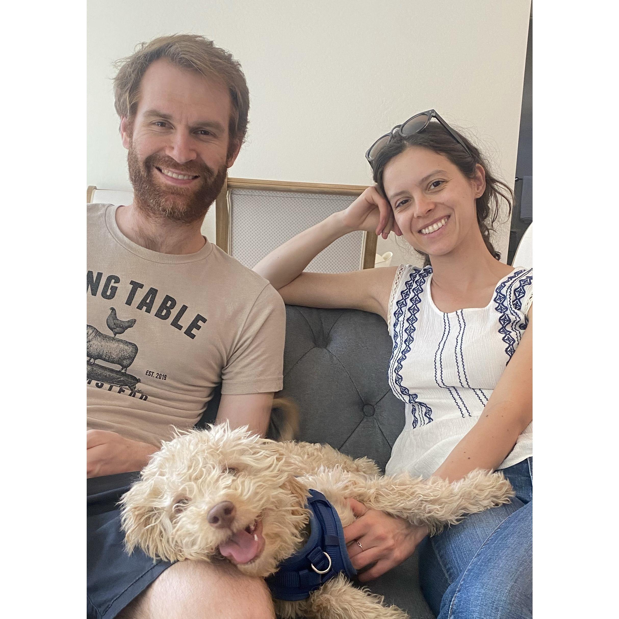Bring on Bear the Pup (note the under eye bags) (c. 2022)