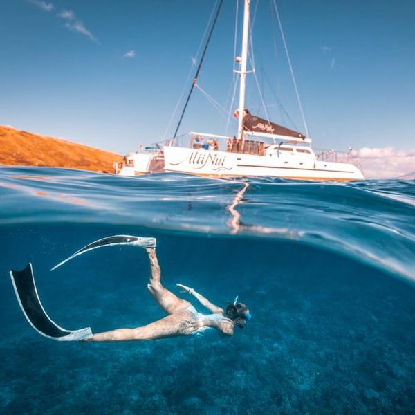 Snorkel Sail | Turtles and Tacos!- MAUI