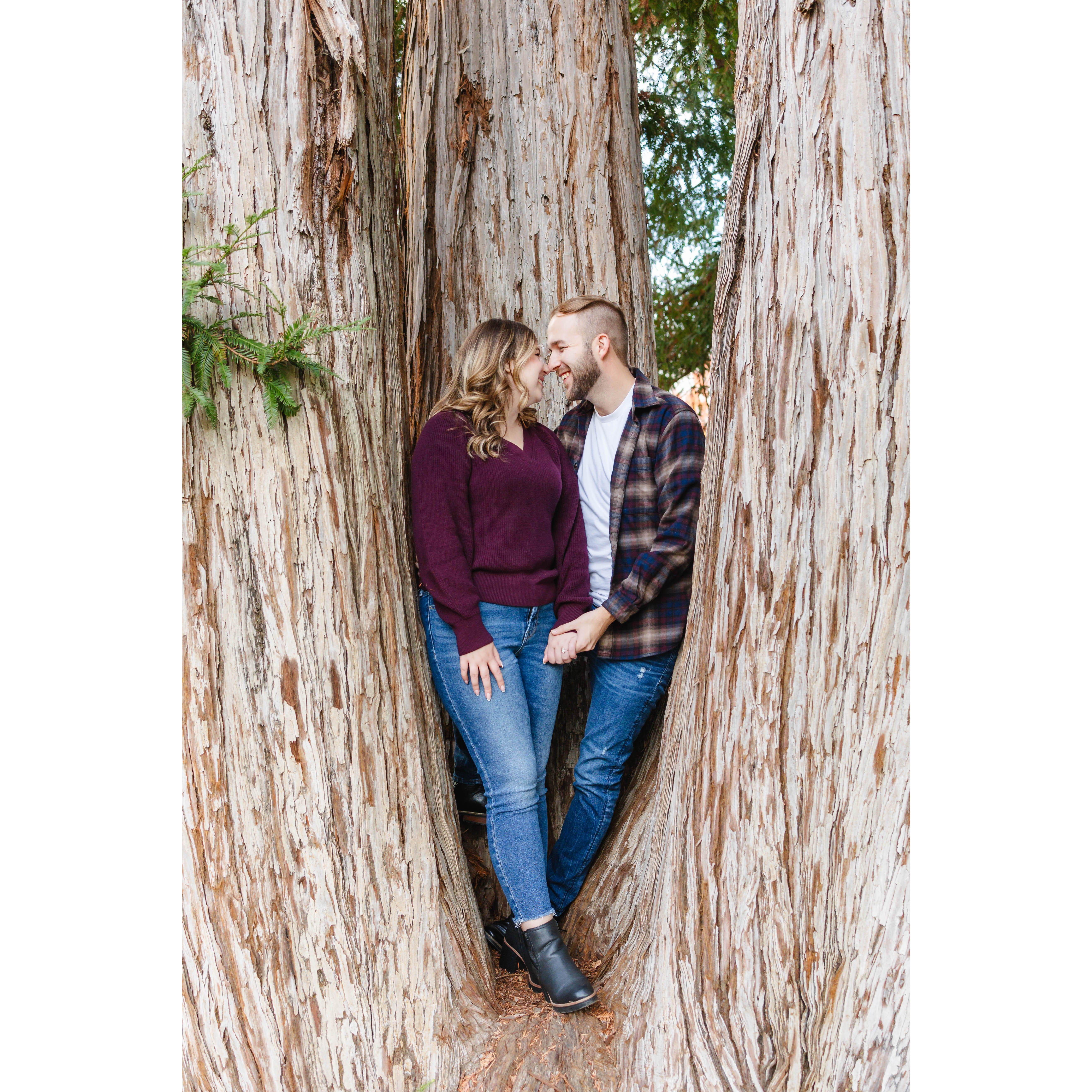 From our engagement photos