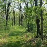 Kinnikinnick Creek Nature Preserve