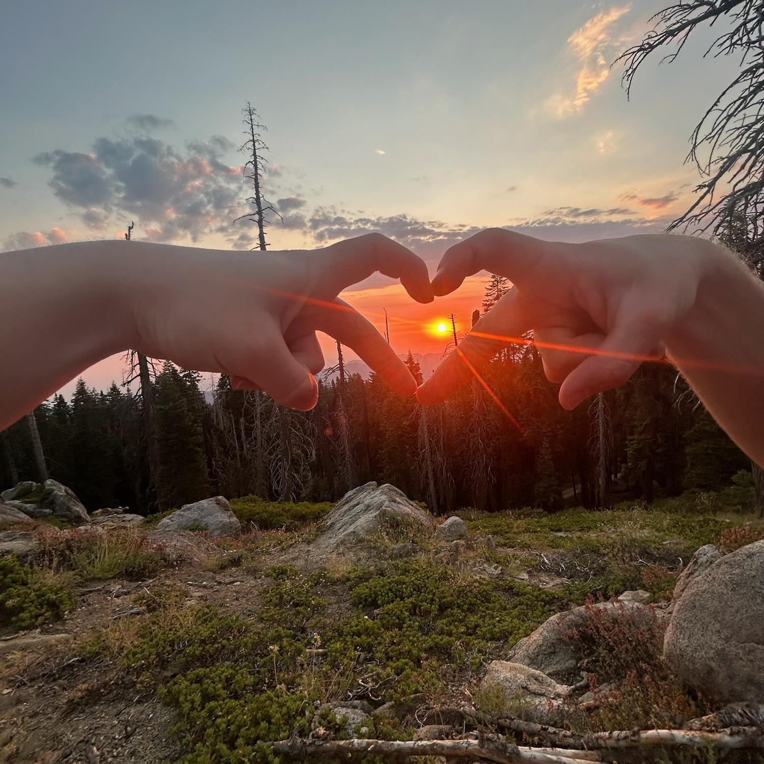 Sequoia National Park, July 2024