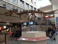 Buffalo Museum of Science