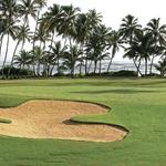 Golf at the Ritz Dorado