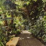 Frederik Meijer Gardens & Sculpture Park